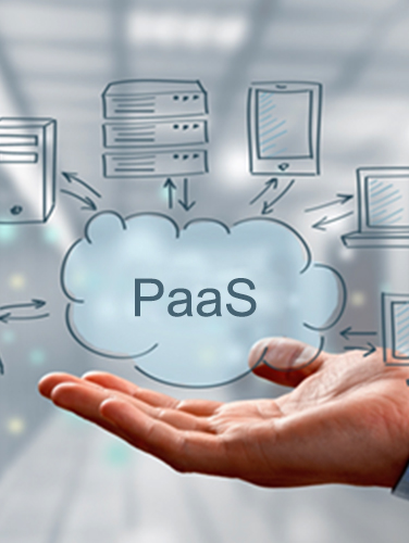 尊龙集团中国官方网站PaaS平台-湖南尊龙集团中国官方网站科技_软件开发_网站建设_网络推广_视觉设计