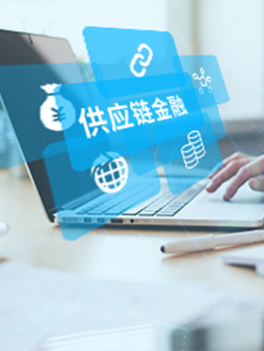 供应链金融平台-湖南尊龙集团中国官方网站科技_软件开发_网站建设_网络推广_视觉设计